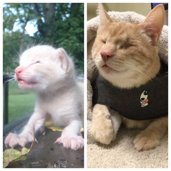 Meet the Posher! - Picture 3 of 3